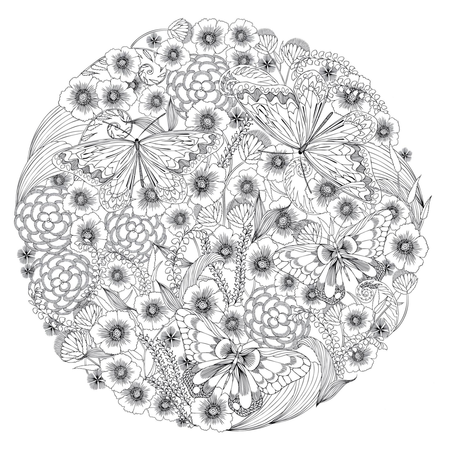 Animal Kingdom: Color Me, Draw Me