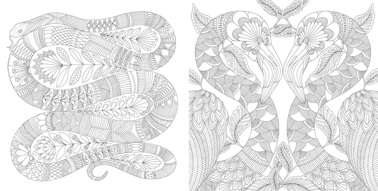 Tropical World: A Coloring Book Adventure (Millie Marotta Adult Coloring Book Series)