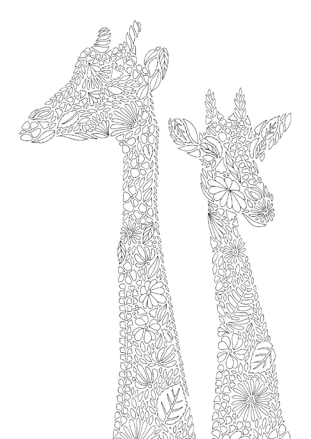 Millie Marotta's Animal Kingdom Postcards: Set of 50