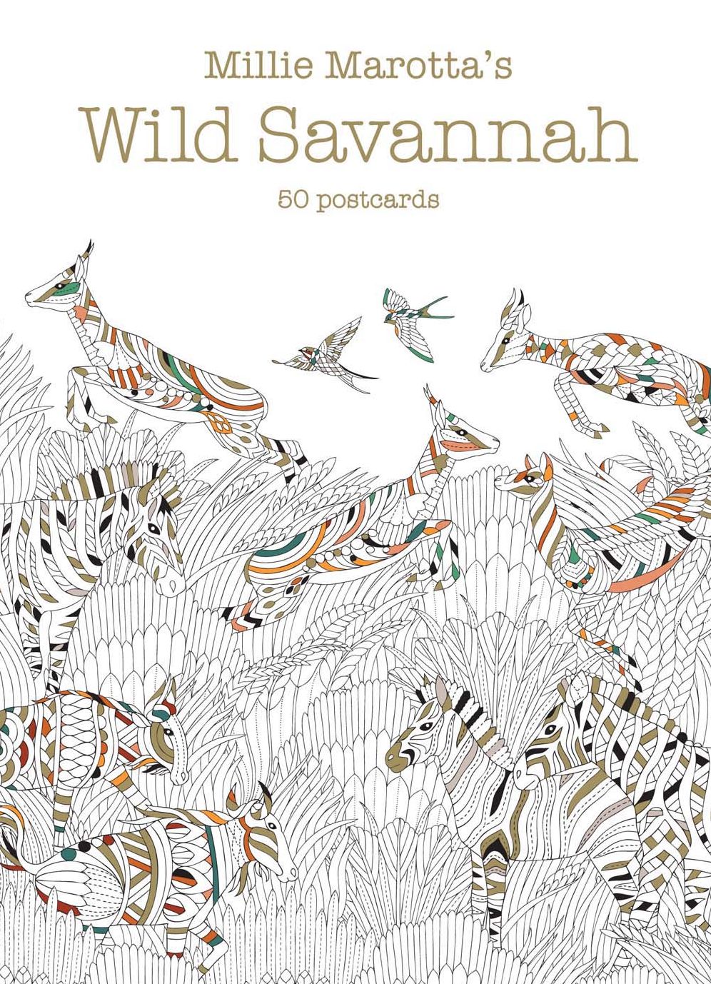 Millie Marotta's Wild Savannah (Postcard Box): 50 Postcards