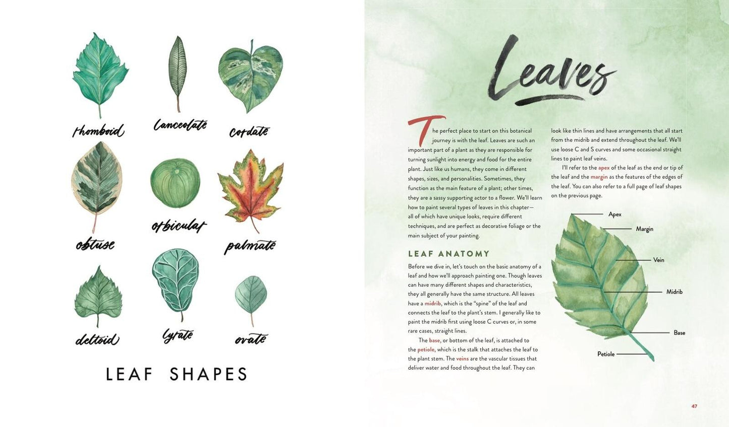 Watercolor Botanicals: Learn to Paint Your Favorite Plants and Florals