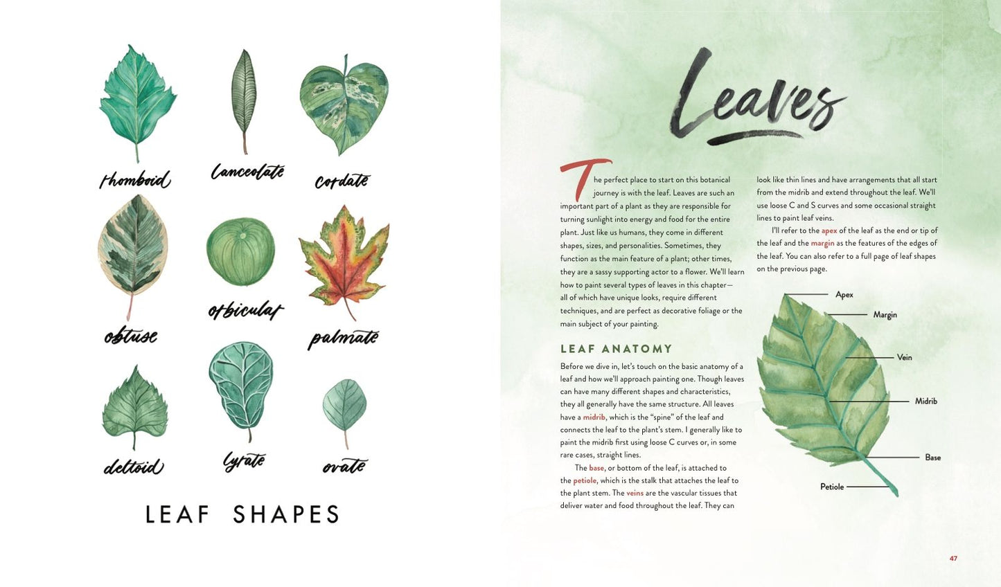 Watercolor Botanicals: Learn to Paint Your Favorite Plants and Florals