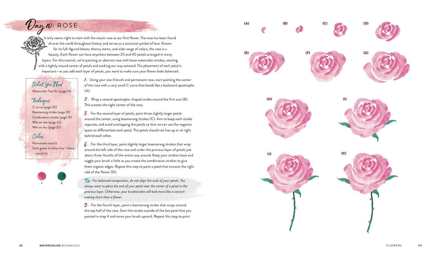 Watercolor Botanicals: Learn to Paint Your Favorite Plants and Florals