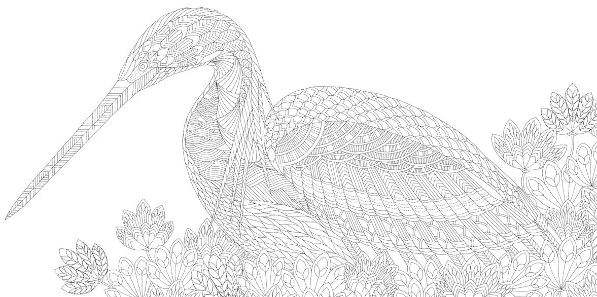 Millie Marotta's Beautiful Birds and Treetop Treasures: Mini Edition
