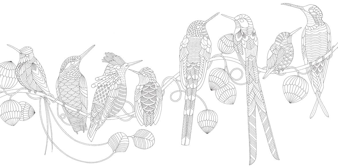 Millie Marotta's Beautiful Birds and Treetop Treasures: Mini Edition