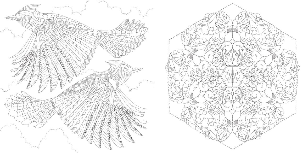 Millie Marotta's Beautiful Birds and Treetop Treasures: Mini Edition