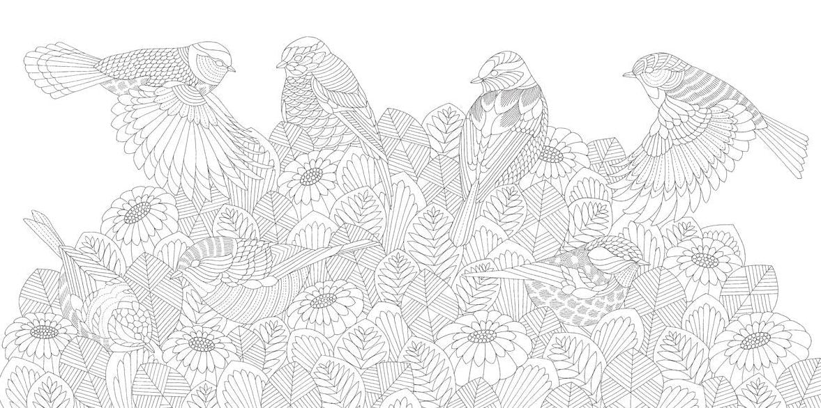 Millie Marotta's Beautiful Birds and Treetop Treasures: Mini Edition