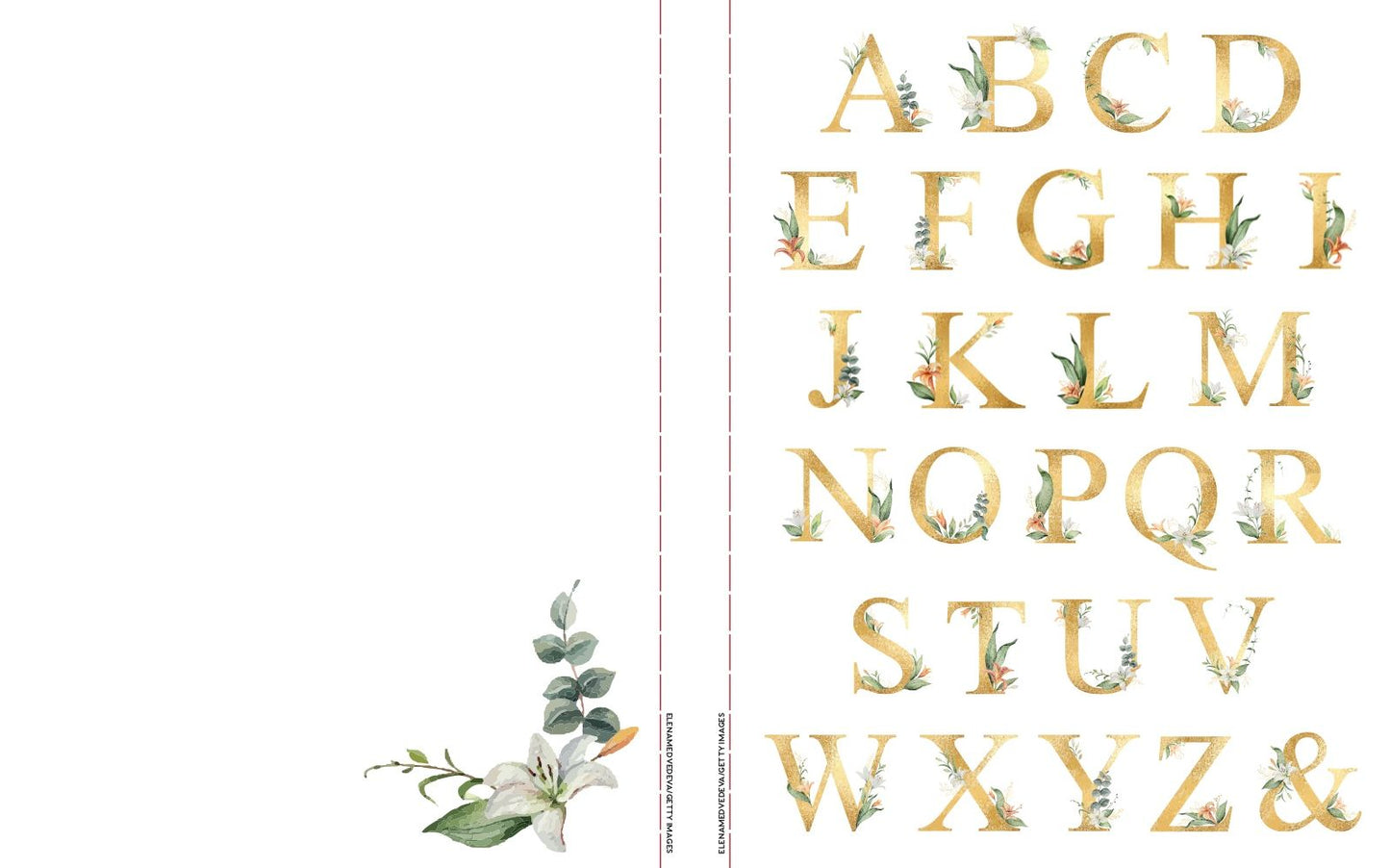 For the Love of Paper: Botanicals: 160 Tear-off Pages for Creating, Crafting, and Sharing