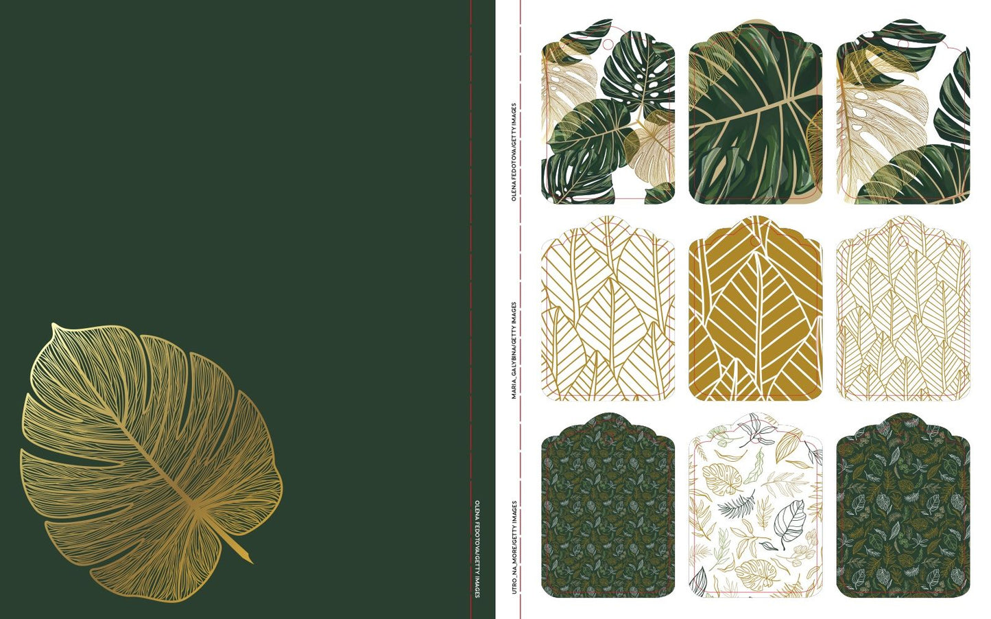 For the Love of Paper: Botanicals: 160 Tear-off Pages for Creating, Crafting, and Sharing