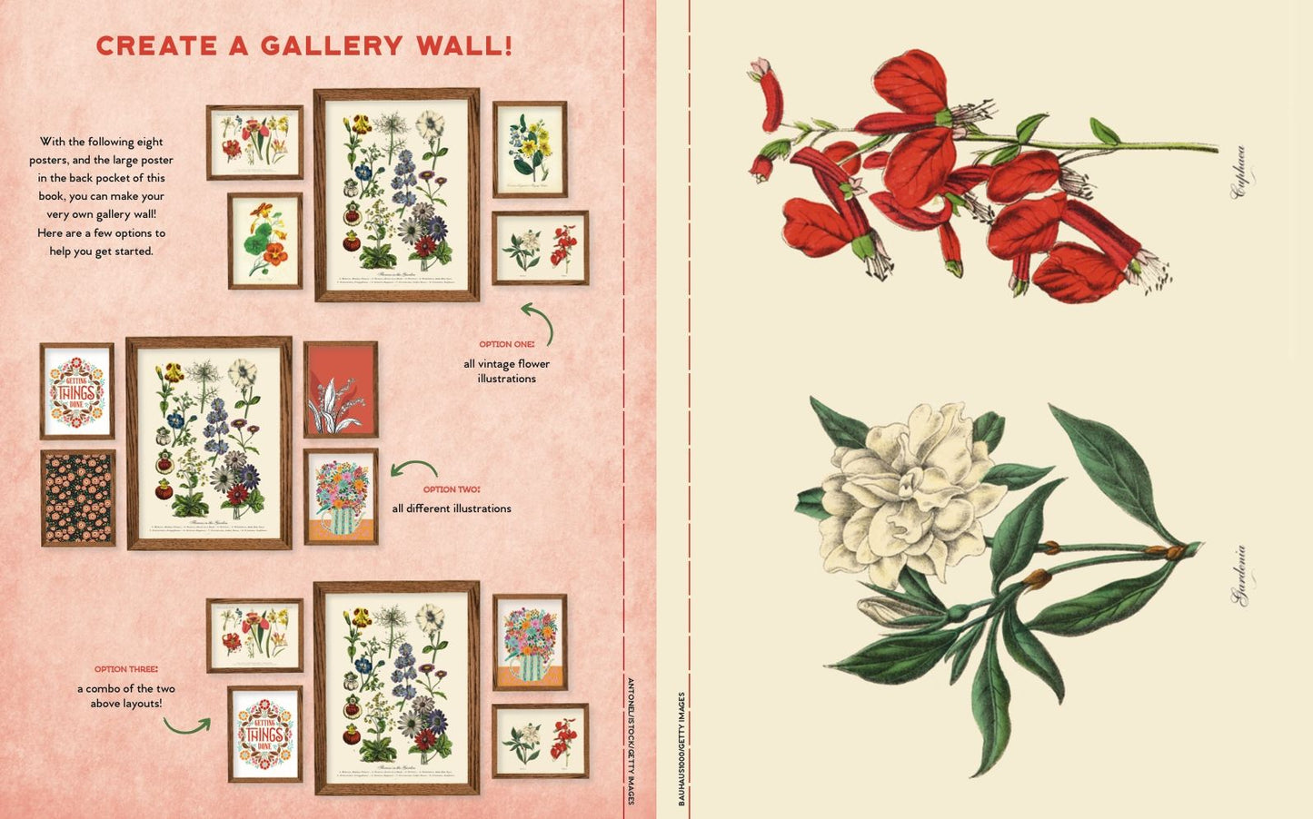 For the Love of Paper: Florals: 160 Tear-off Pages for Creating, Crafting, and Sharing