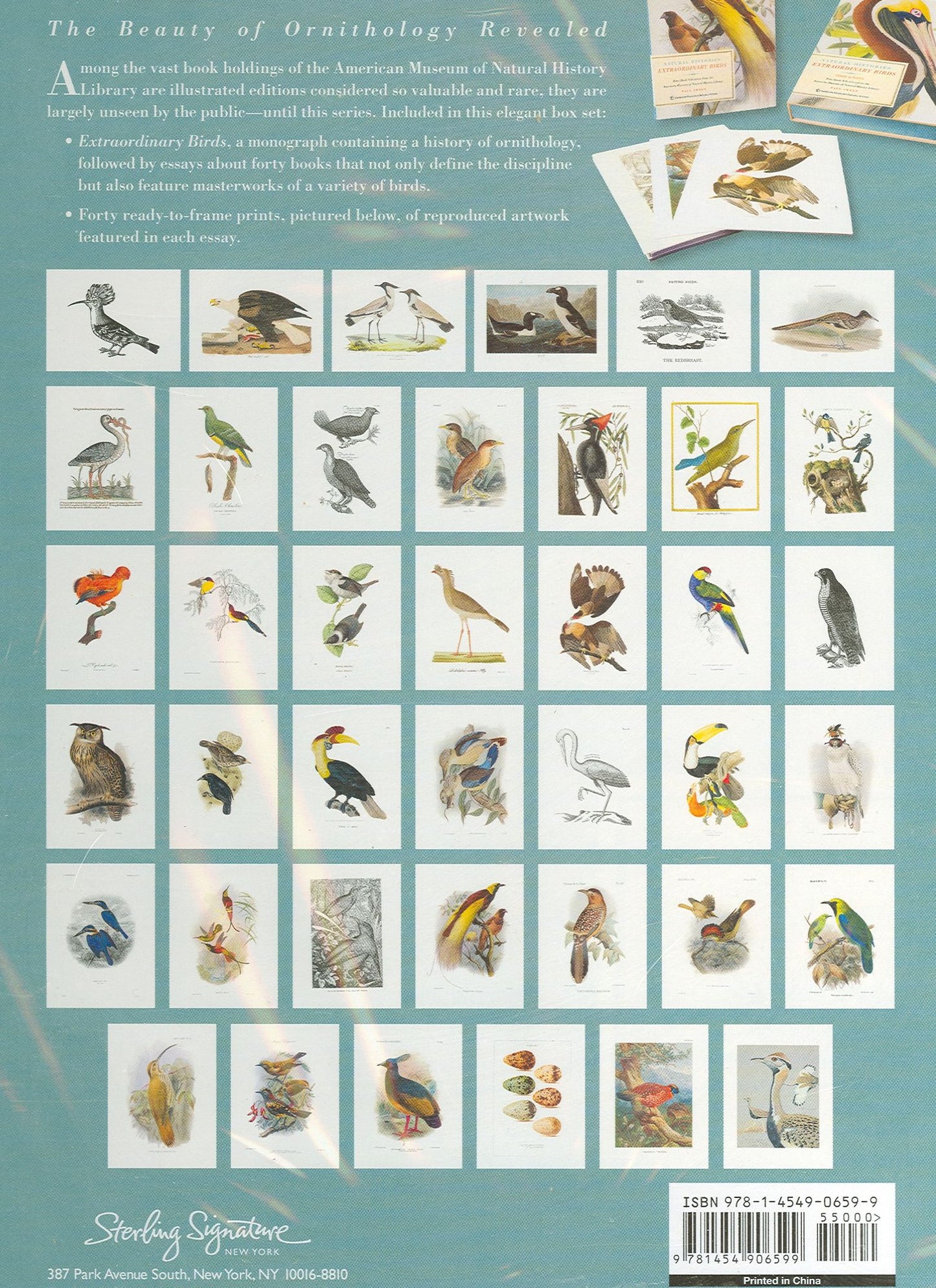 Extraordinary Birds
