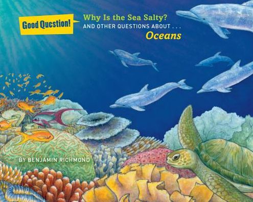 Why Is the Sea Salty?: And Other Questions About Oceans