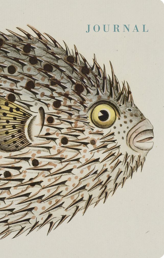 Natural Histories Journal: Fish