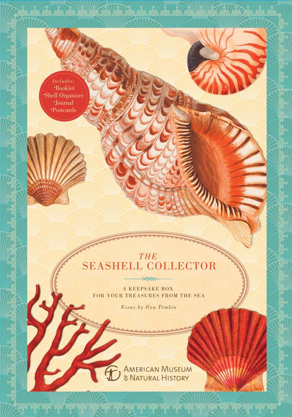 The Seashell Collector: A Keepsake Box for Your Treasures from the Sea
