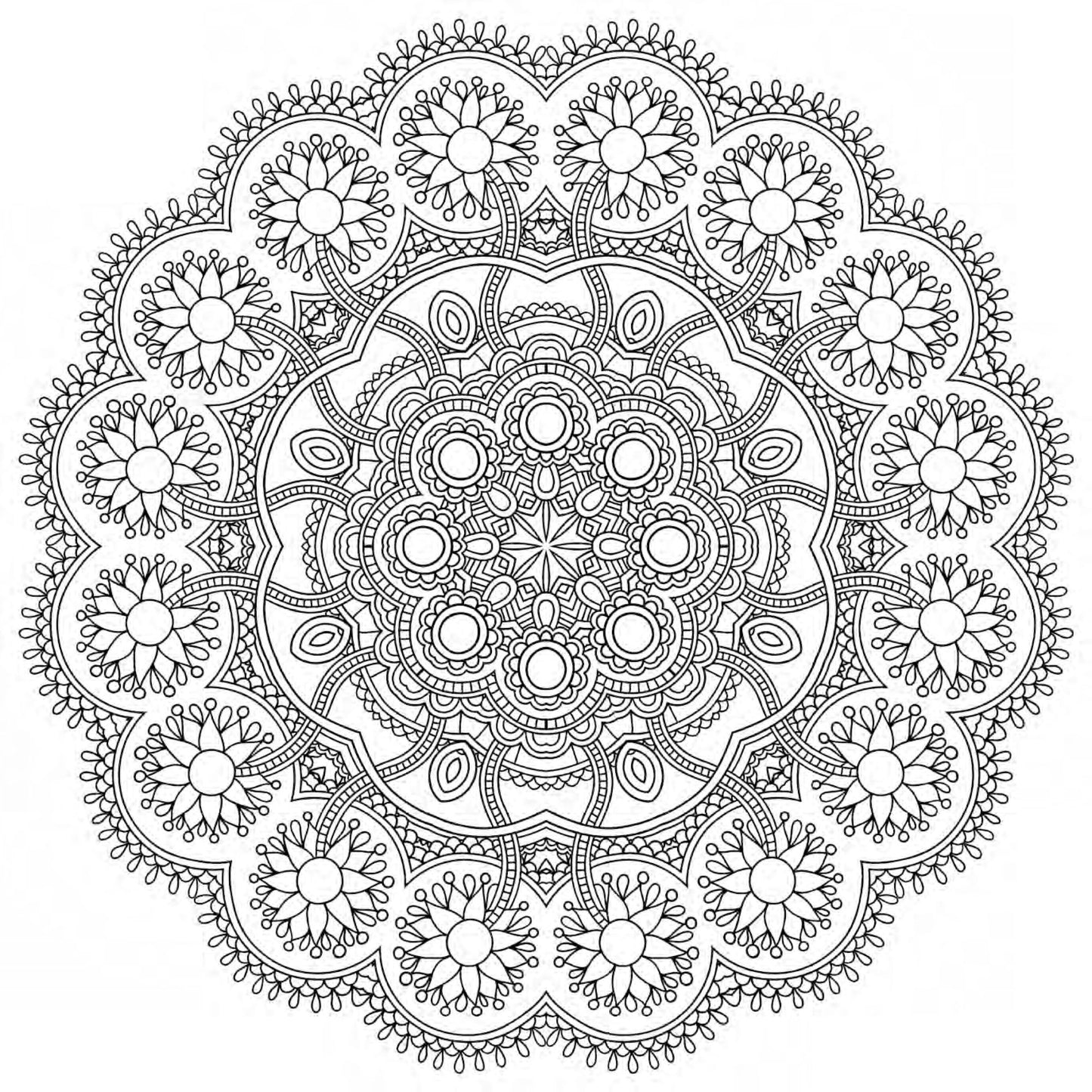 Mandala Meditation Coloring Book