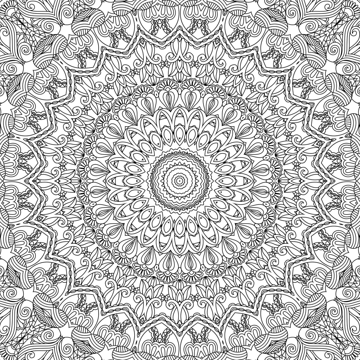 Mandala Meditation Coloring Book