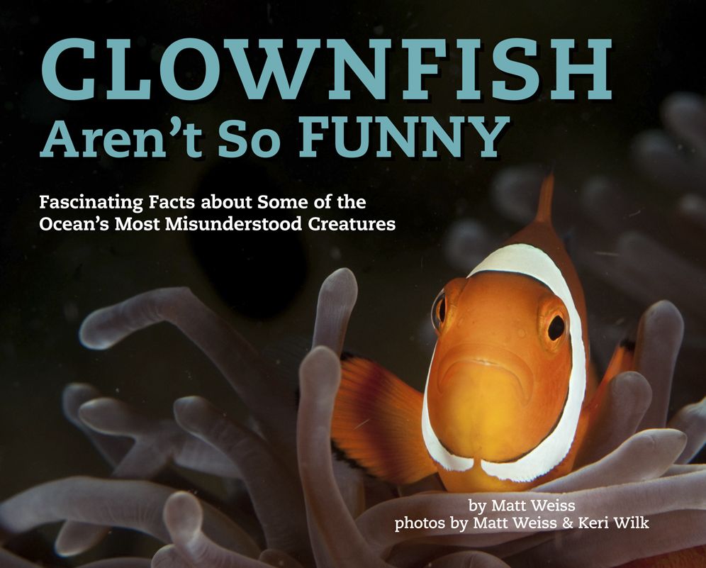 Clownfish Aren't So Funny : Fascinating Facts About Some of the Ocean's Most Misunderstood Creatures