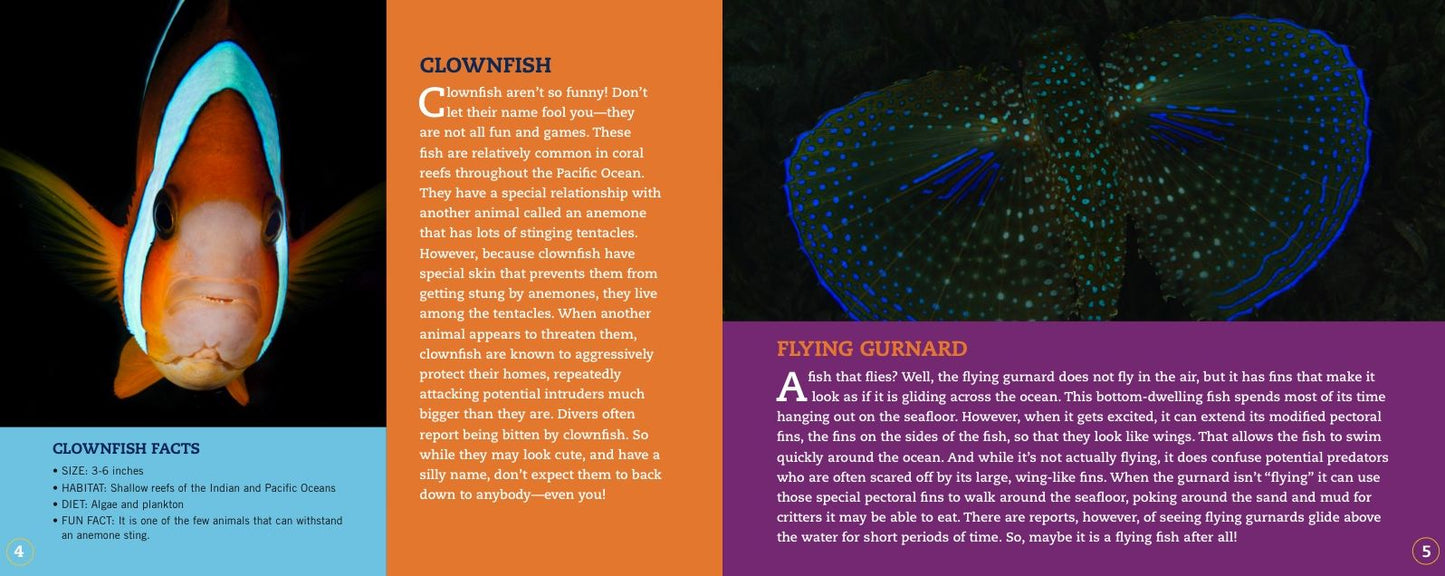 Clownfish Aren't So Funny : Fascinating Facts About Some of the Ocean's Most Misunderstood Creatures