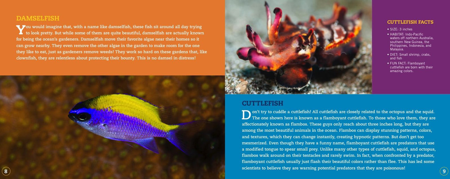 Clownfish Aren't So Funny : Fascinating Facts About Some of the Ocean's Most Misunderstood Creatures