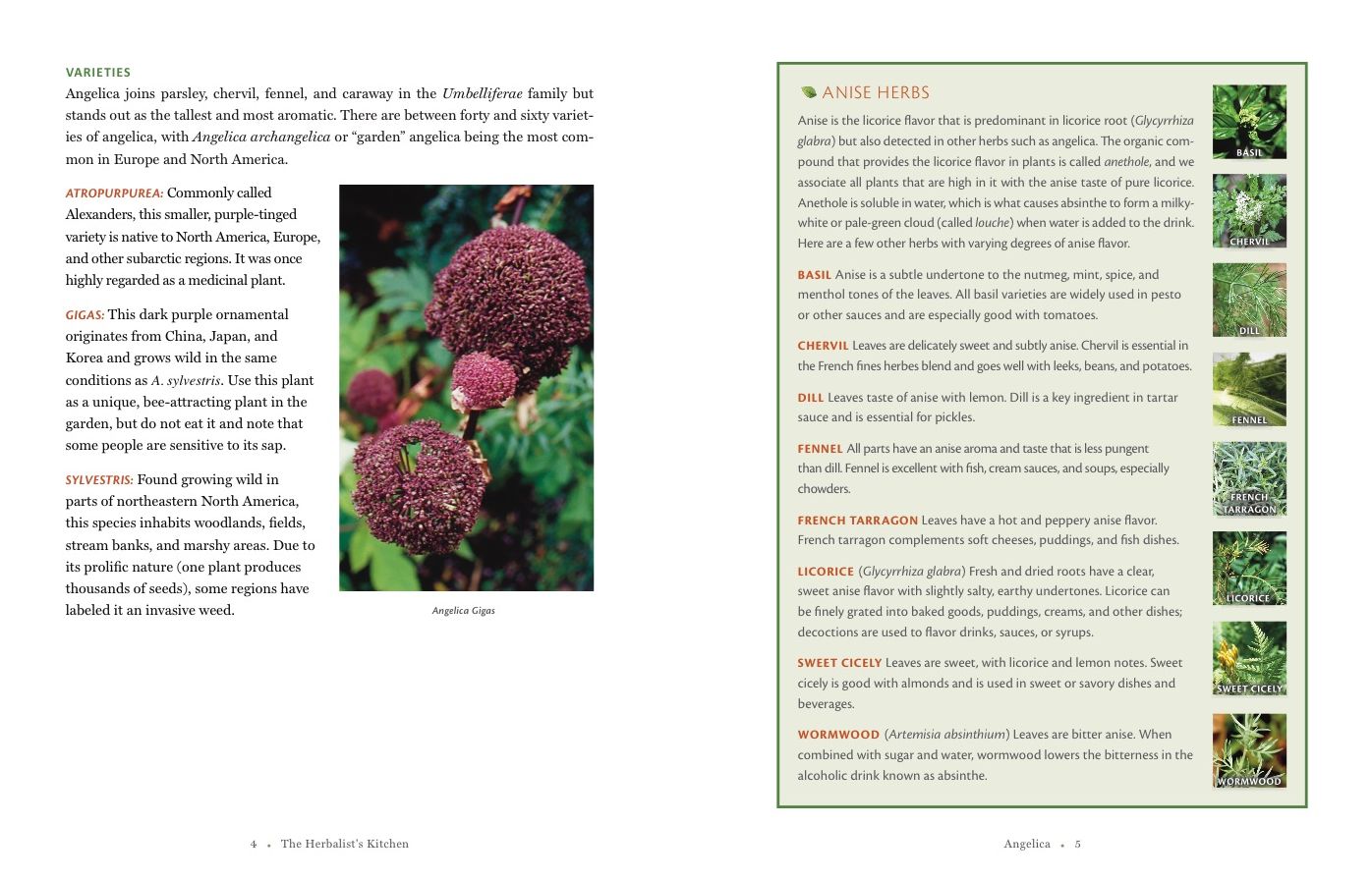 The Herbalist's Kitchen: Cooking and Healing with Herbs