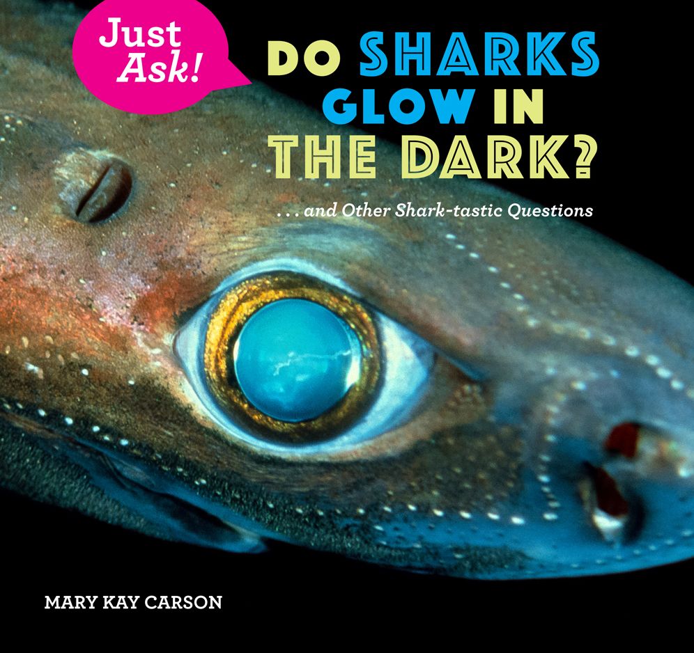 Do Sharks Glow in the Dark? : And Other Shark-Tastic Questions