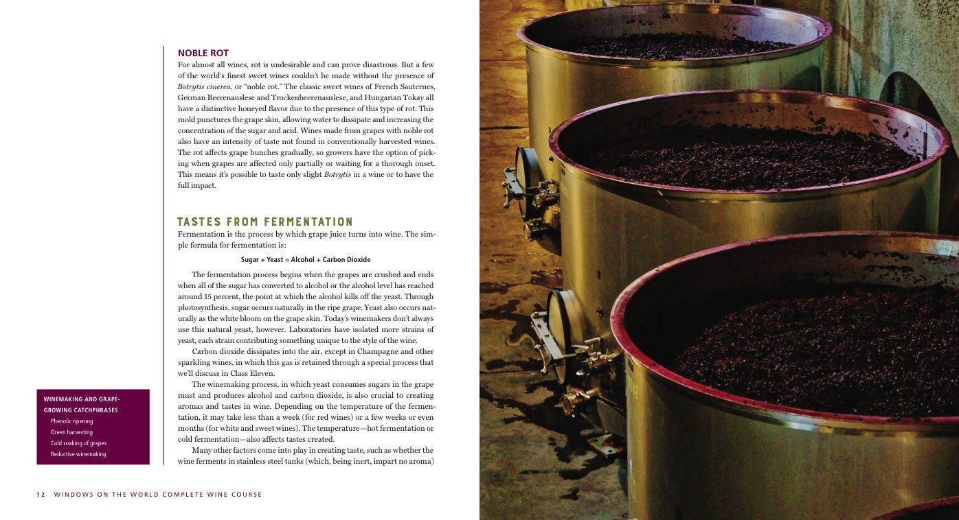 Kevin Zraly Windows on the World Complete Wine Course: Revised, Updated & Expanded Edition