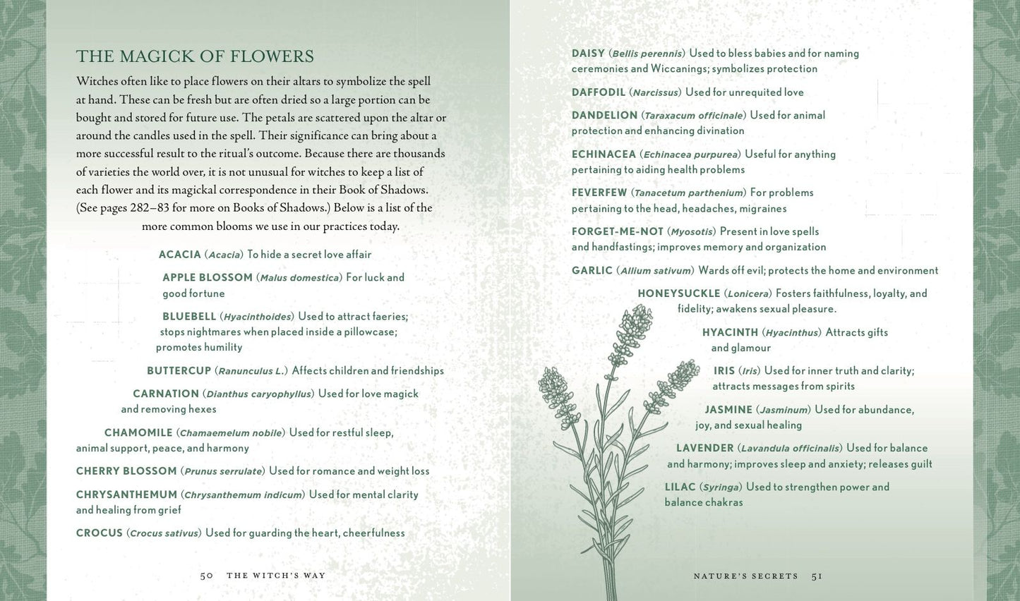 The Witch's Way: A Guide to Modern-Day Spellcraft, Nature Magick, and Divination