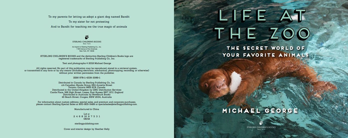 Life at the Zoo : The Secret World of Your Favorite Animals