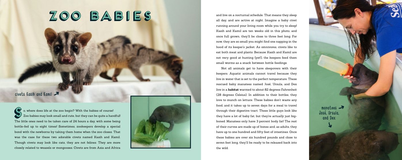 Life at the Zoo : The Secret World of Your Favorite Animals