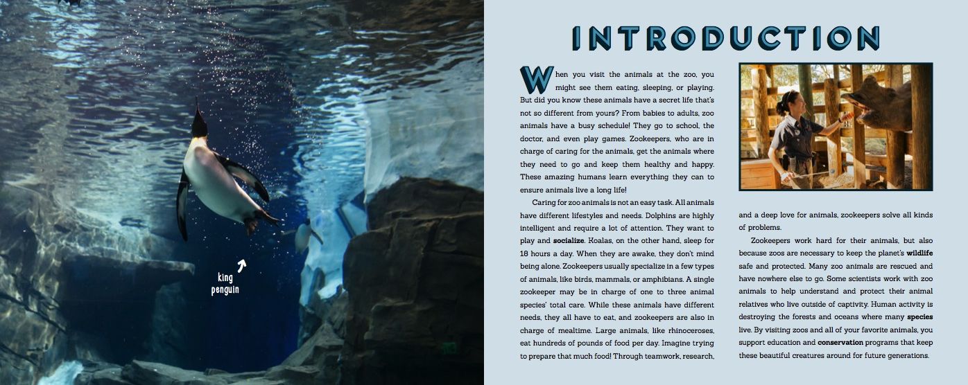 Life at the Zoo : The Secret World of Your Favorite Animals