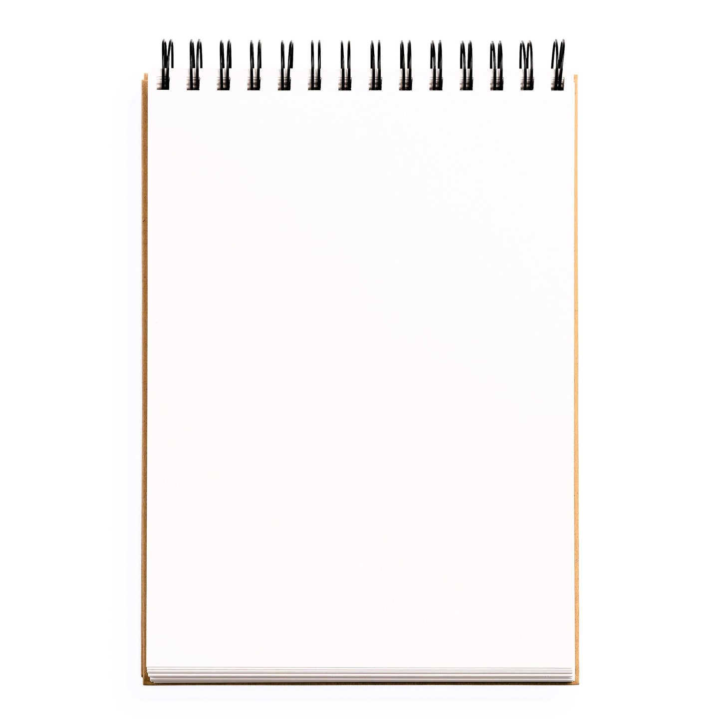 Sketchbook (Basic Medium Spiral Fliptop Landscape Kraft)