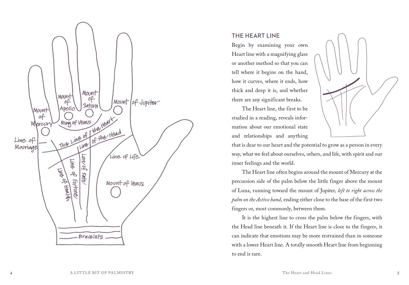 A Little Bit of Palmistry: An Introduction to Palm Reading