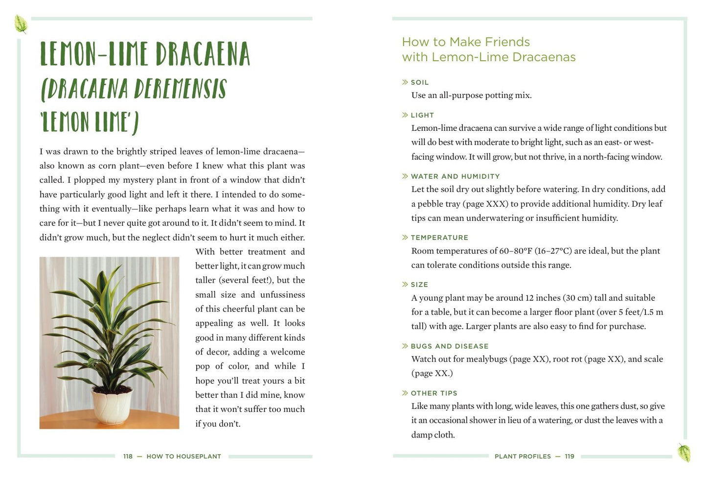 How to Houseplant: A Beginner's Guide to Making and Keeping Plant Friends