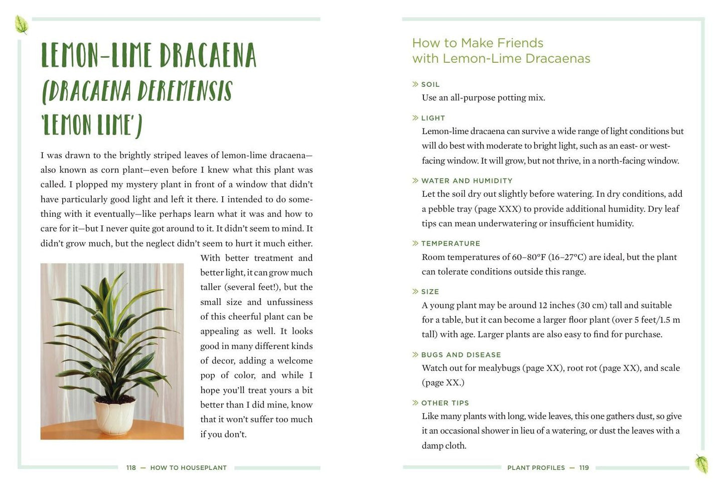 How to Houseplant: A Beginner's Guide to Making and Keeping Plant Friends