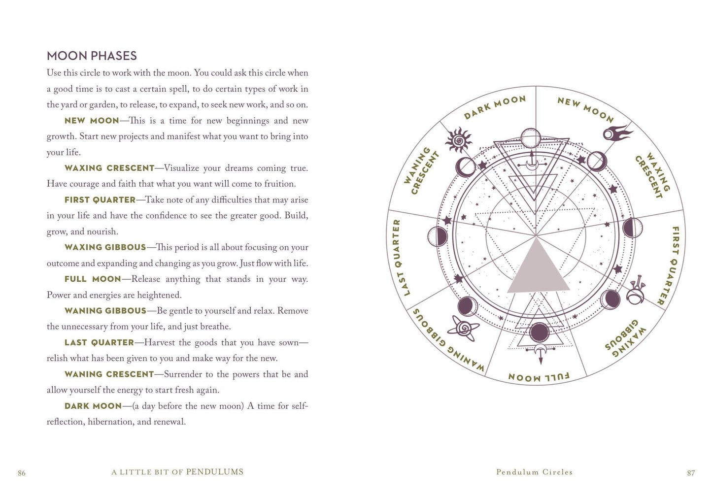 A Little Bit of Pendulums: An Introduction to Pendulum Divination
