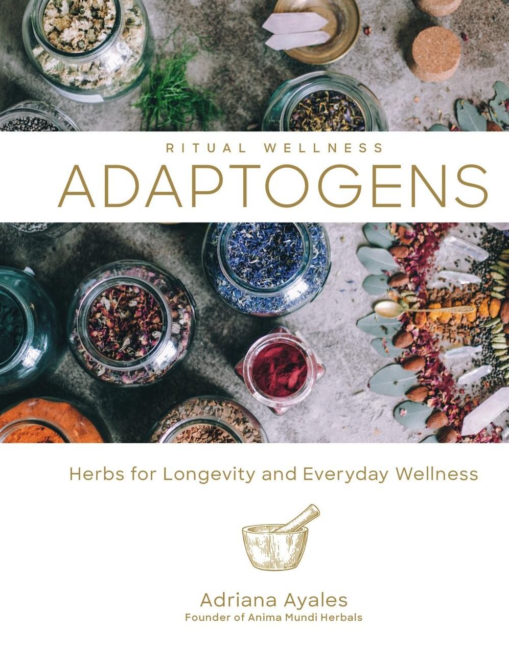 Adaptogens: Herbs for Longevity and Everyday Wellness