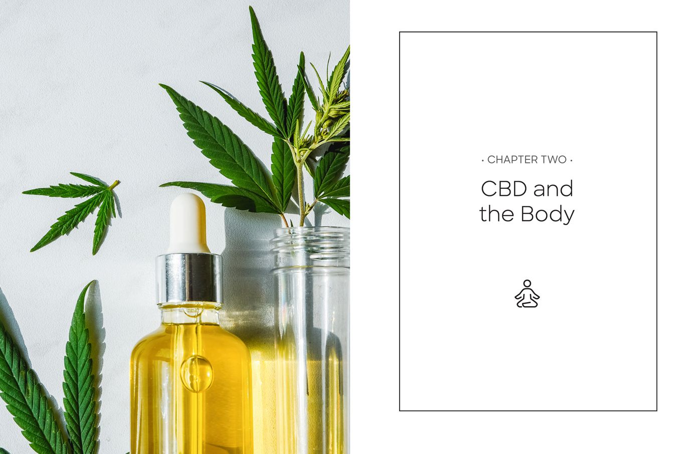CBD: Self-Care Secrets to Hemp-Derived Wellness