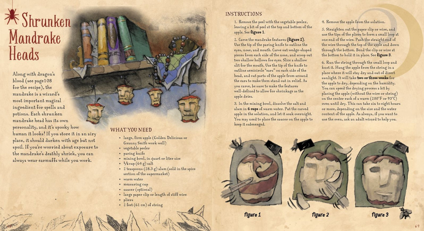 The Book of Wizard Craft: In Which the Apprentice Finds Spells, Potions, Fantastic Tales & 50 Enchanting Things to Make