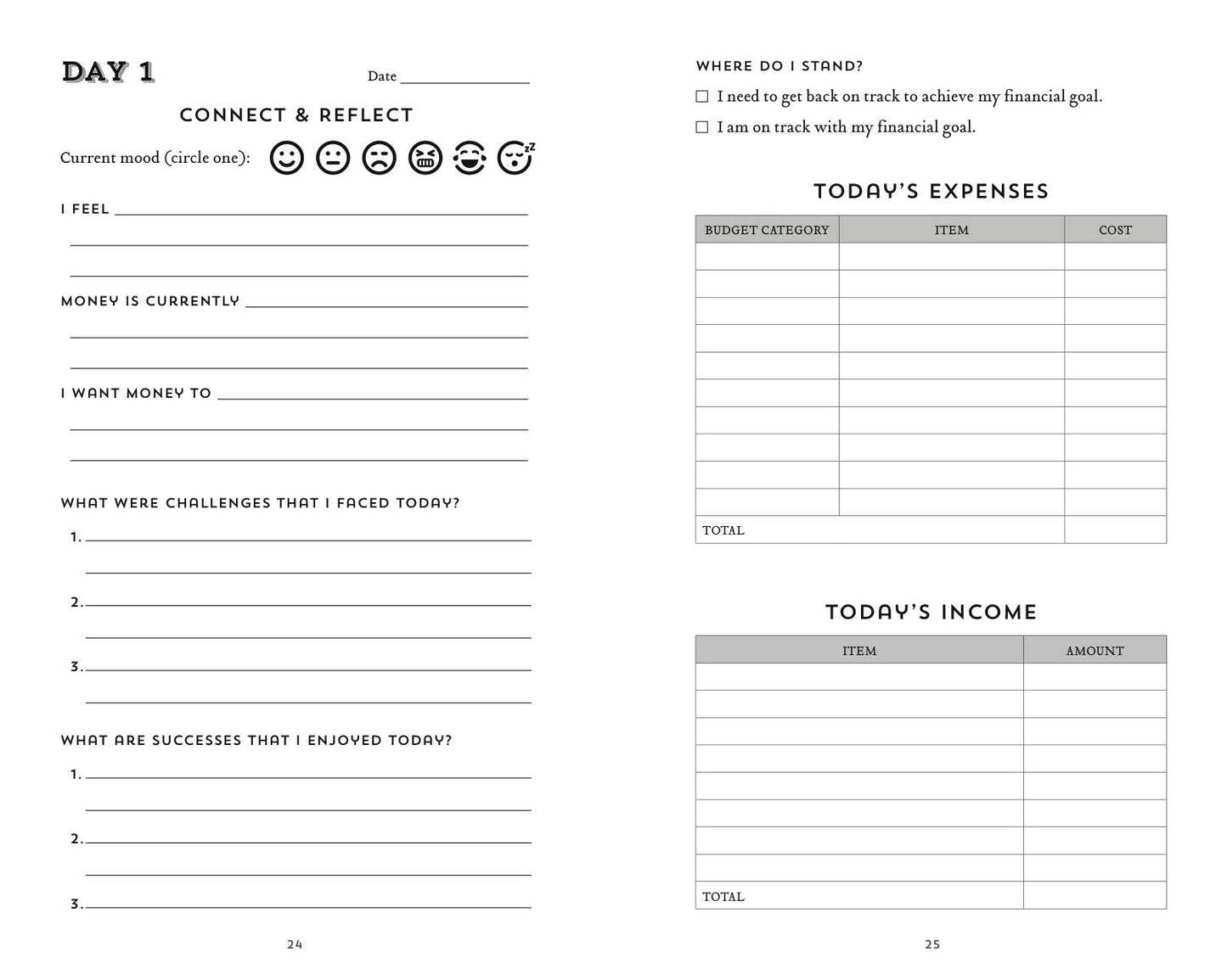 The 100-Day Financial Goal Journal: Build a Plan for Your Financial Future