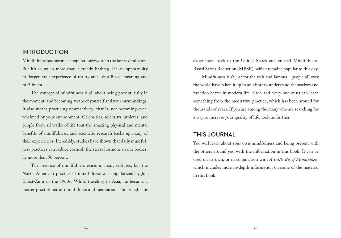 A Little Bit of Mindfulness Guided Journal: Personal Path to Awareness
