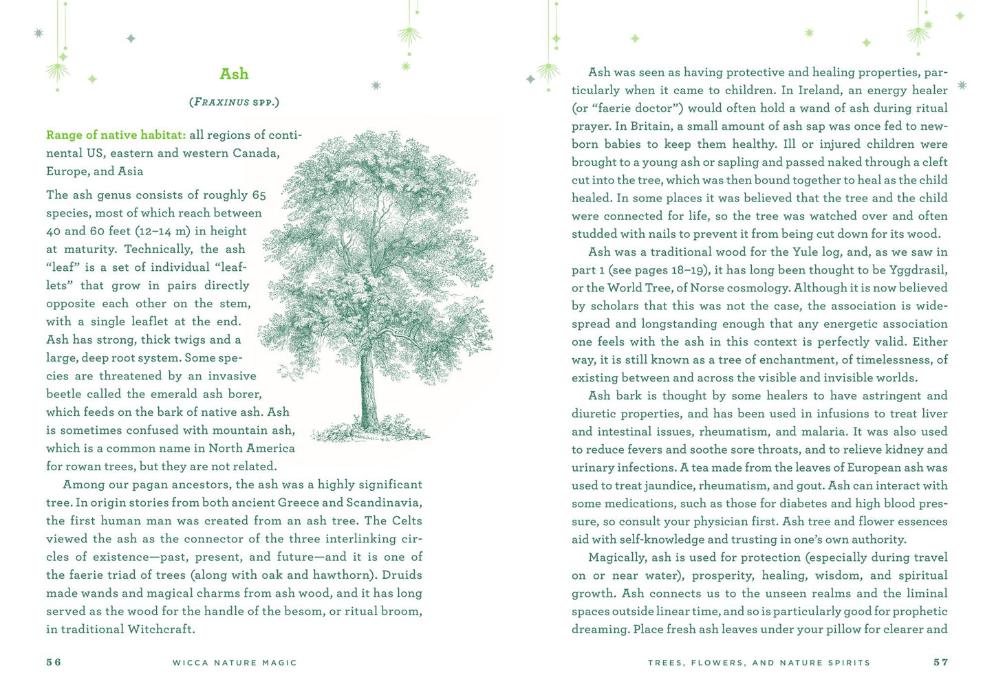 Wicca Nature Magic: A Beginner's Guide to Working with Nature Spellcraft