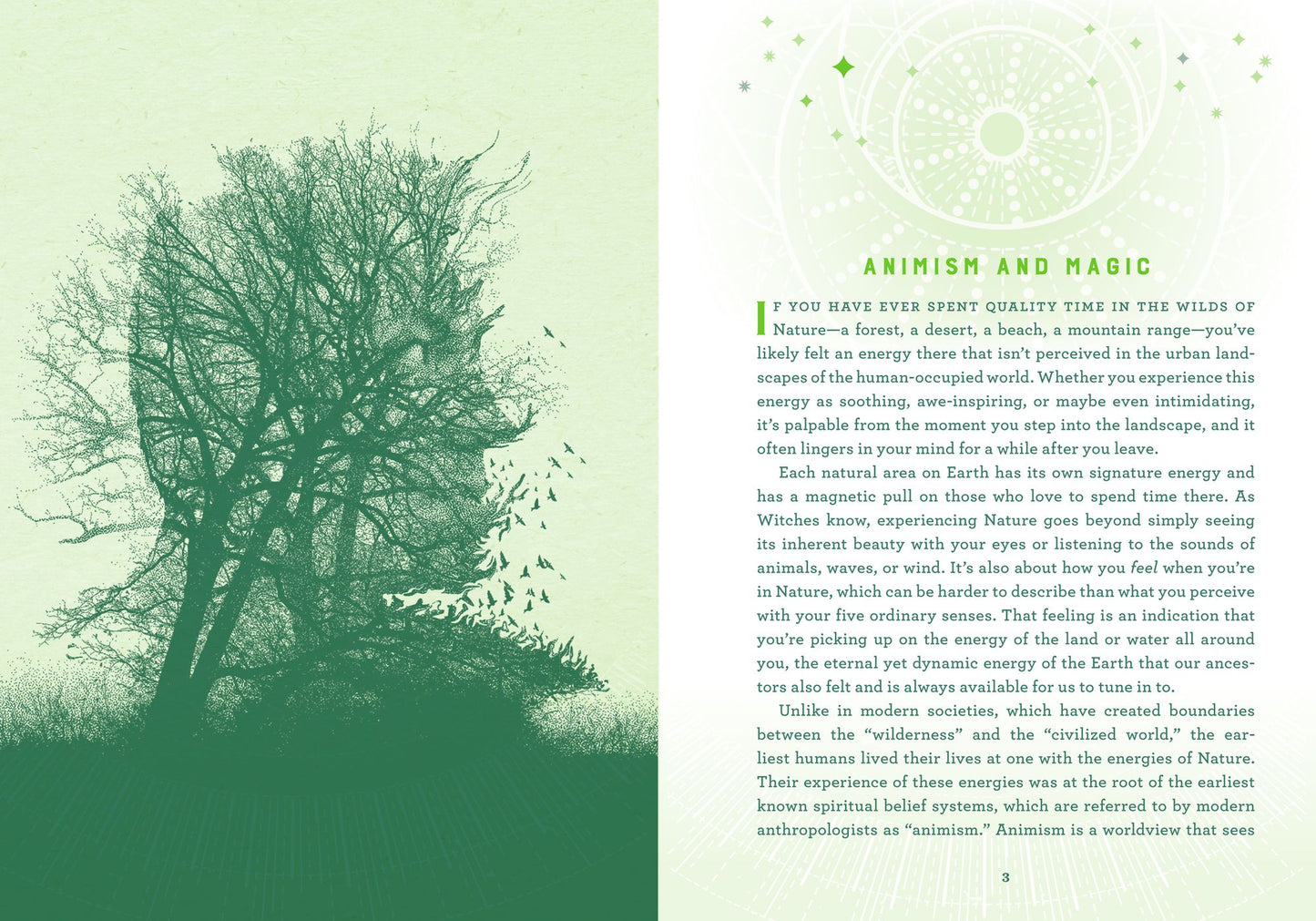 Wicca Nature Magic: A Beginner's Guide to Working with Nature Spellcraft