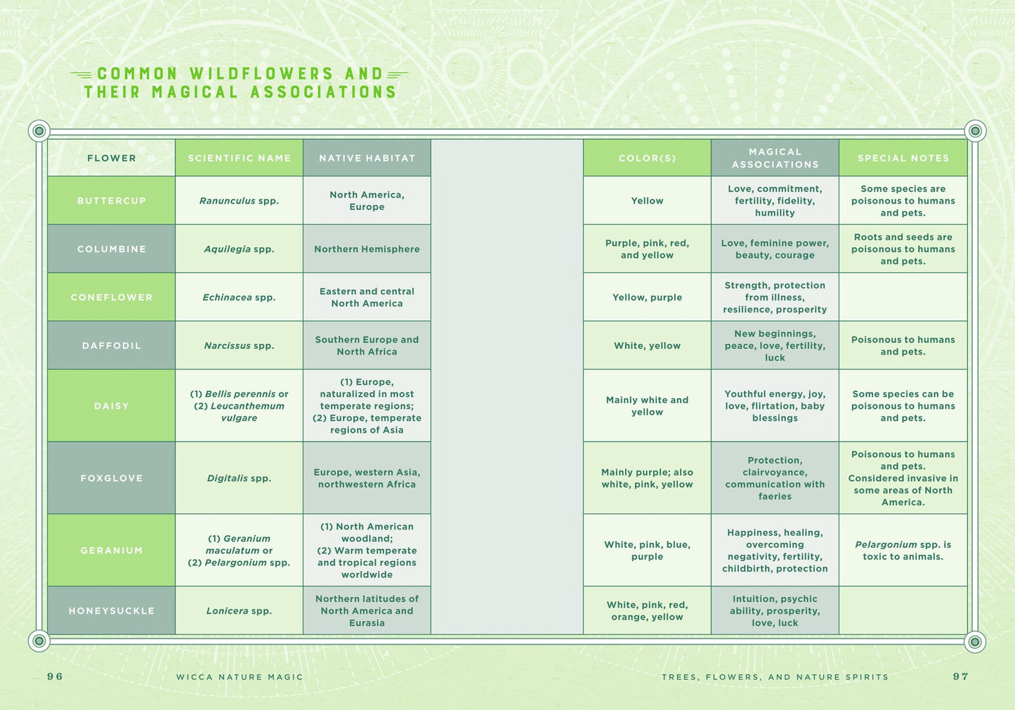 Wicca Nature Magic: A Beginner's Guide to Working with Nature Spellcraft