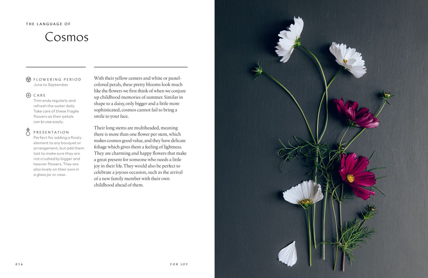 The Healing Power of Flowers: Discover the Secret Language of the Flowers You Love