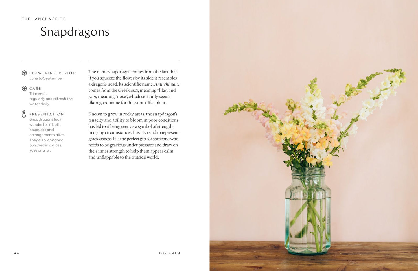 The Healing Power of Flowers: Discover the Secret Language of the Flowers You Love