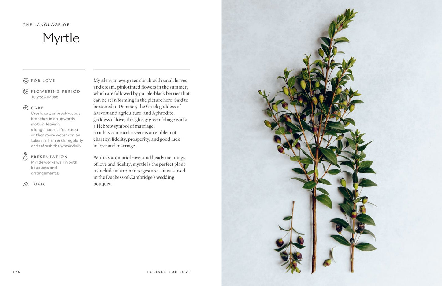 The Healing Power of Flowers: Discover the Secret Language of the Flowers You Love