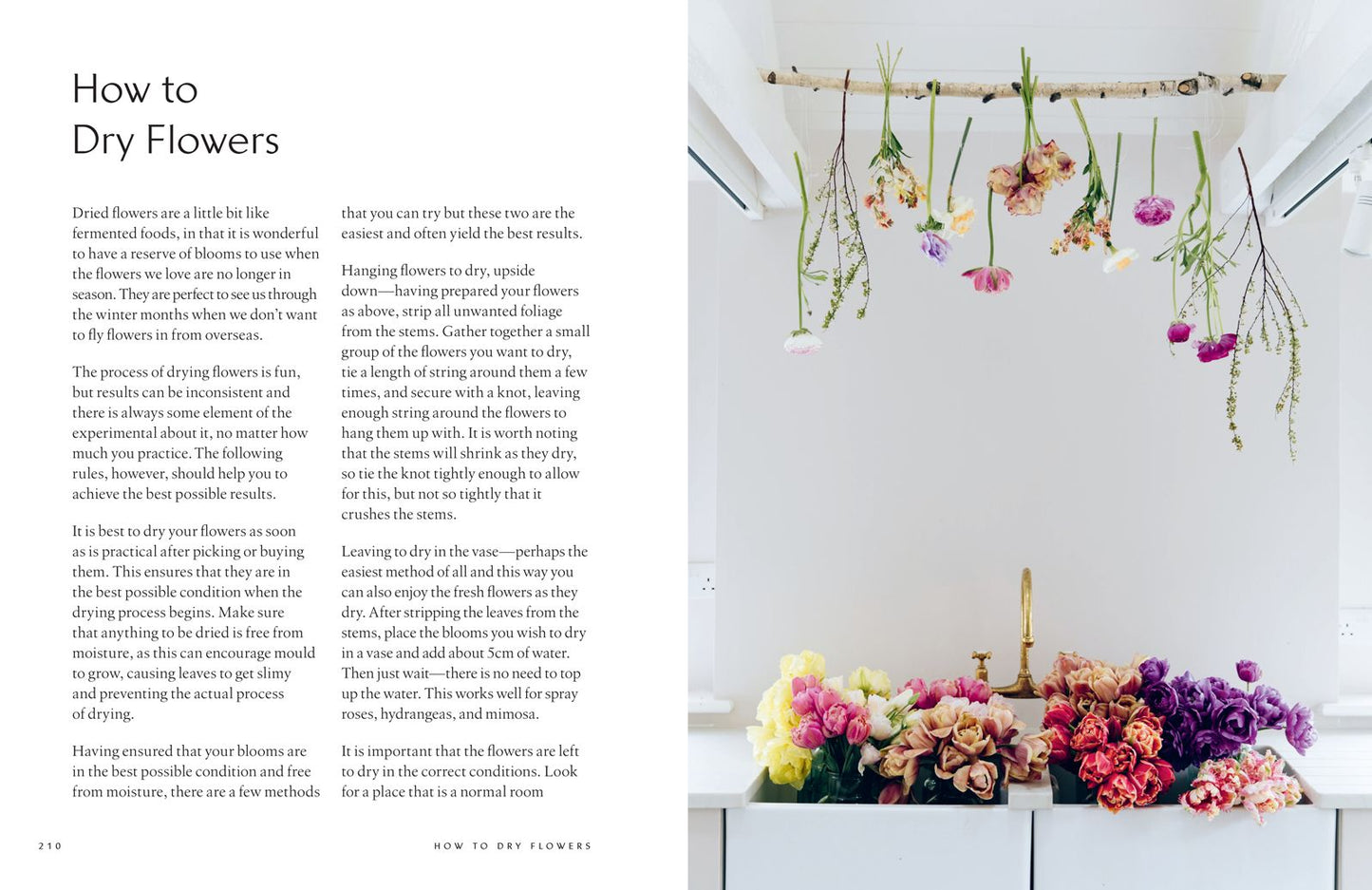 The Healing Power of Flowers: Discover the Secret Language of the Flowers You Love