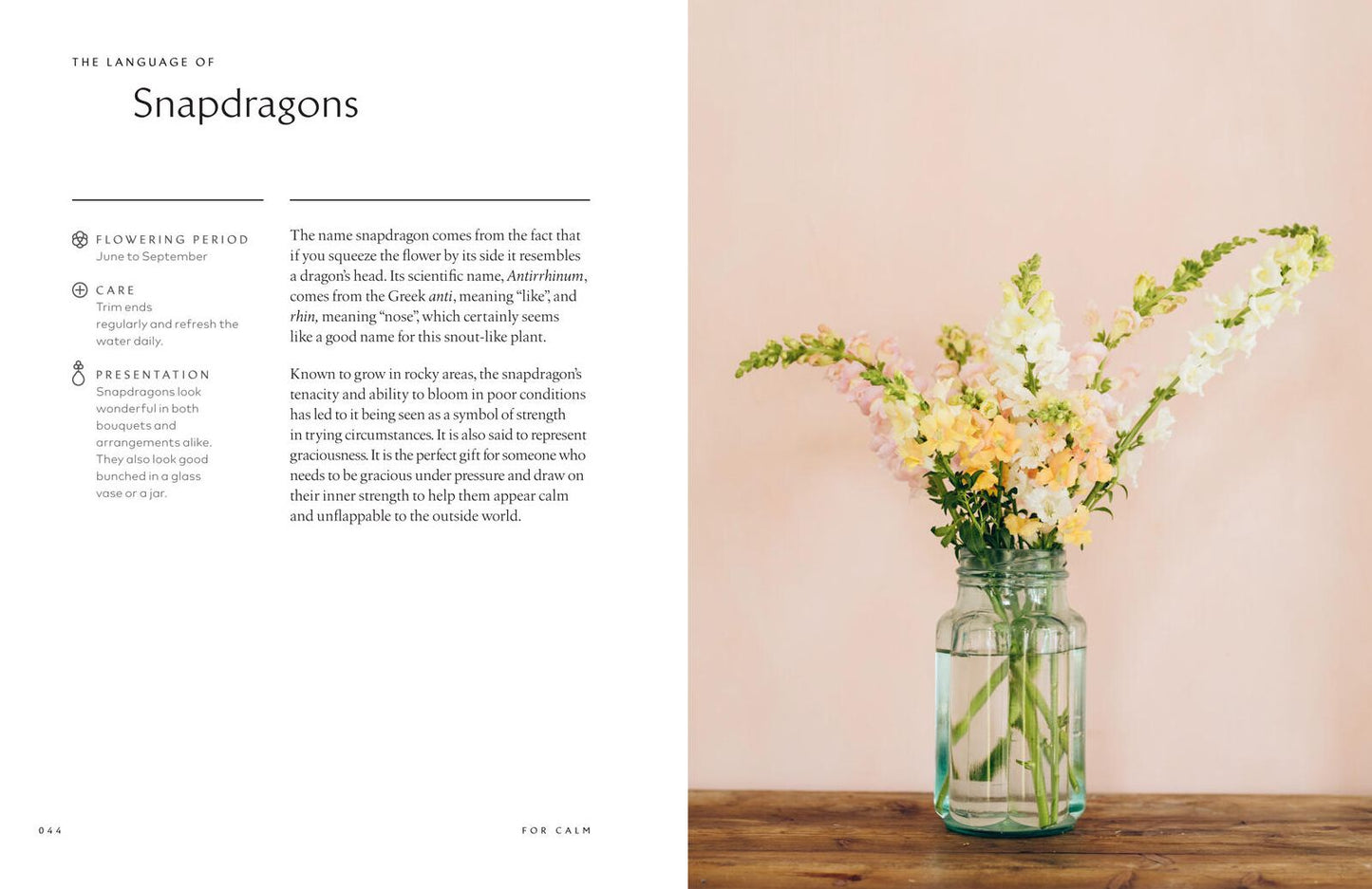 The Healing Power of Flowers: Discover the Secret Language of the Flowers You Love