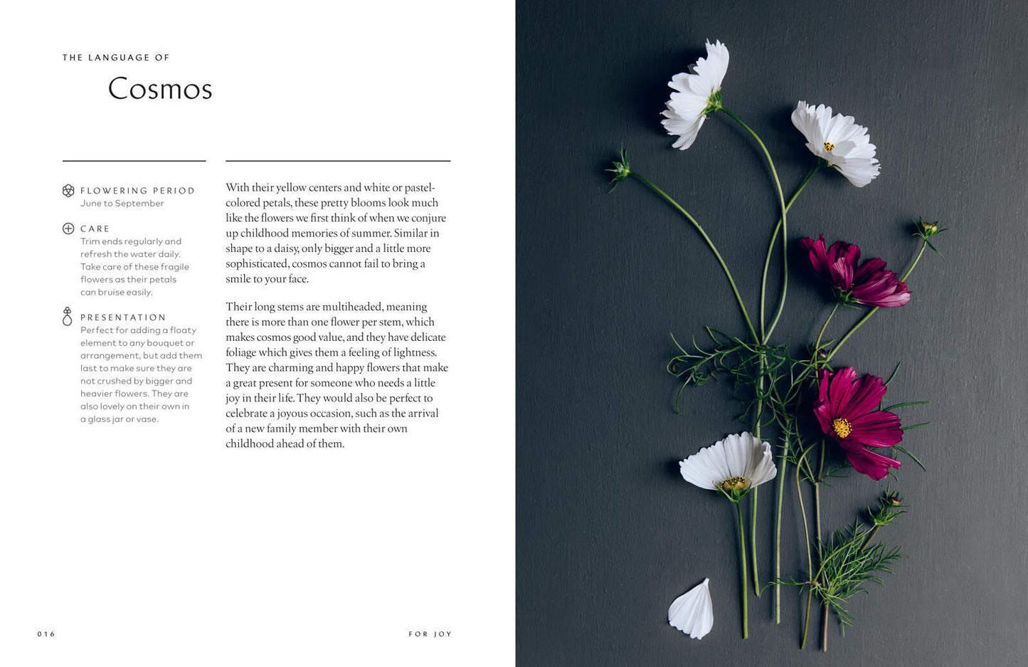 The Healing Power of Flowers: Discover the Secret Language of the Flowers You Love