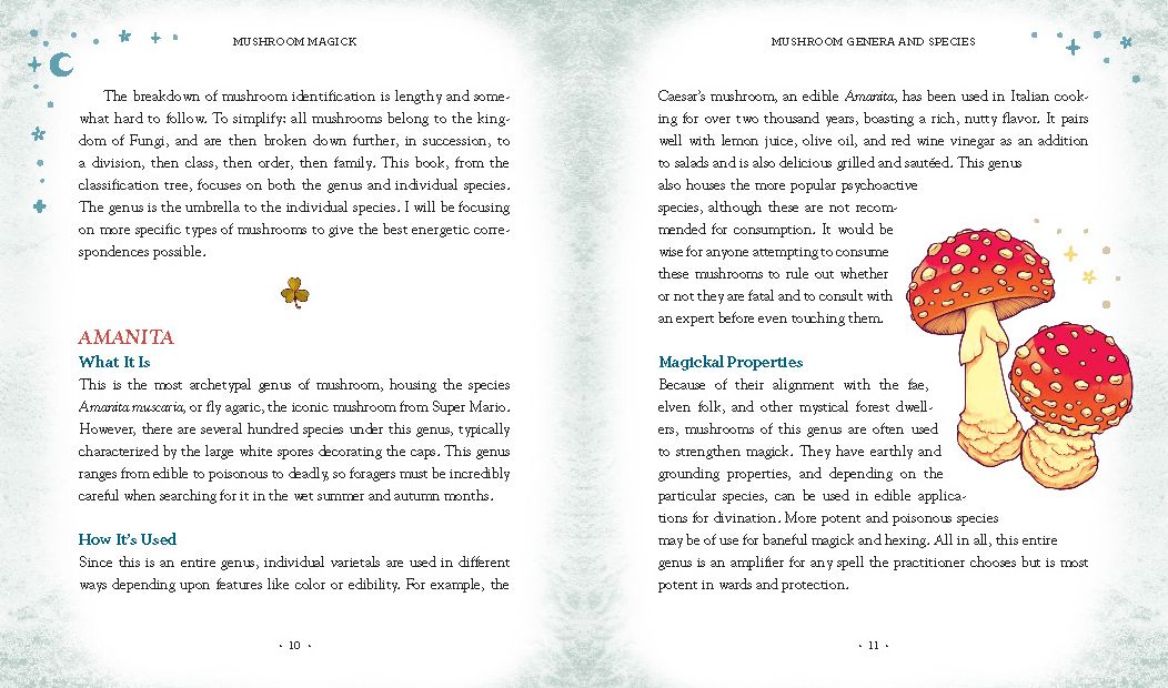 Mushroom Magick: Ritual, Celebration, and Lore